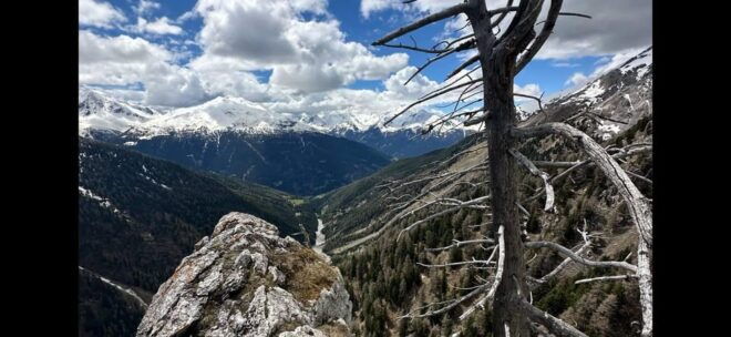 Retracing the Traces of the War in Val Zebrú - Guided Tour Highlights