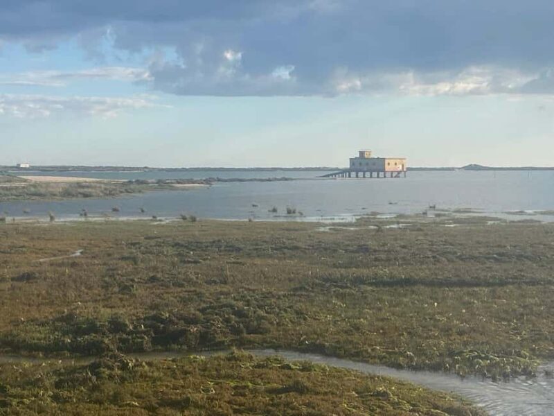 Return bike tour from Tavira to Olhão - Authenticity and Local Flavor