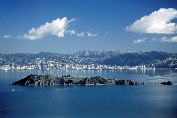 Return Ferry Trip to MāTiu/Somes Island - Trip Details