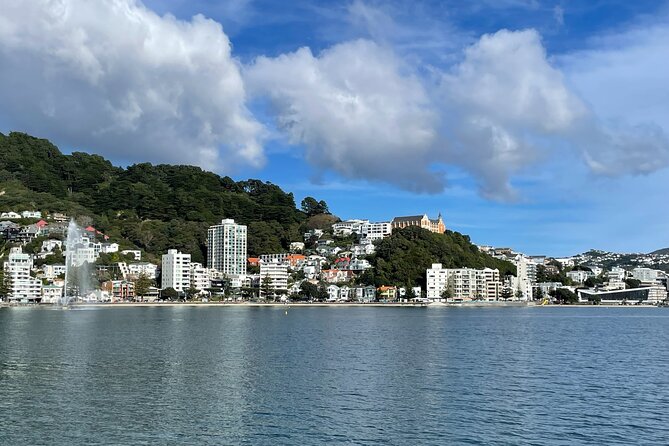 Return Ferry Trip to MāTiu/Somes Island - Inclusions