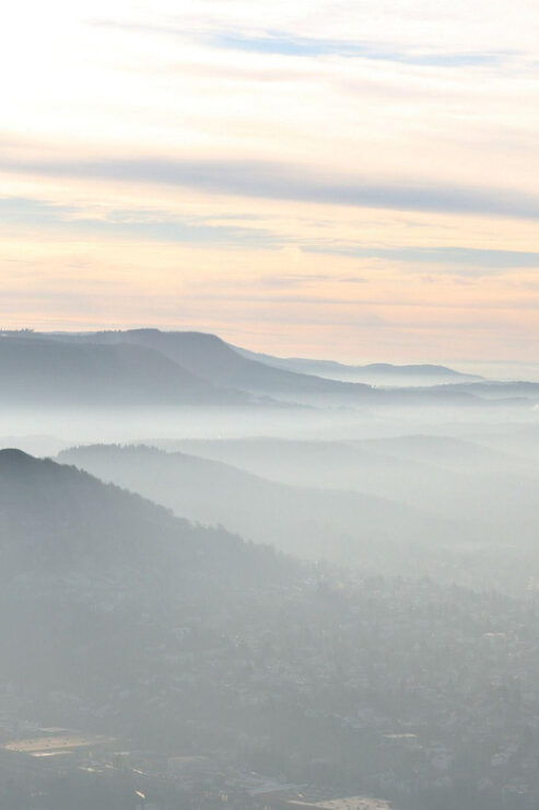 Reutlingen Private Guided Walking Tour - Key Points