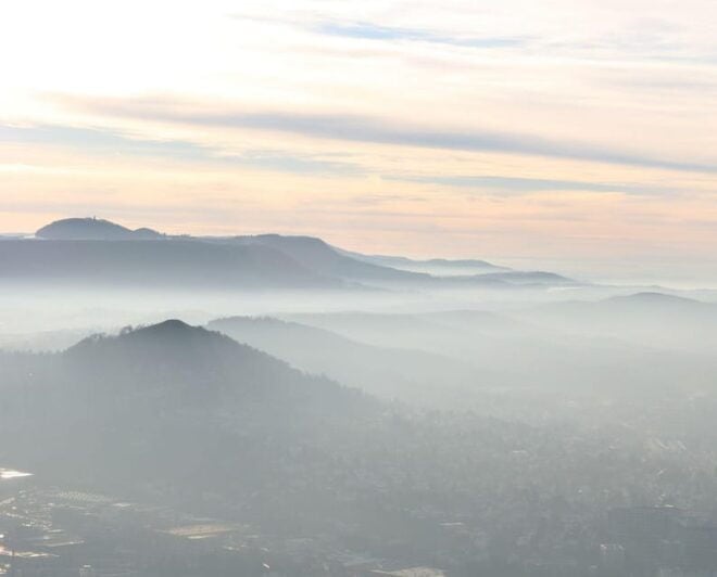 Reutlingen Private Guided Walking Tour - Cultural Experience in Reutlingen