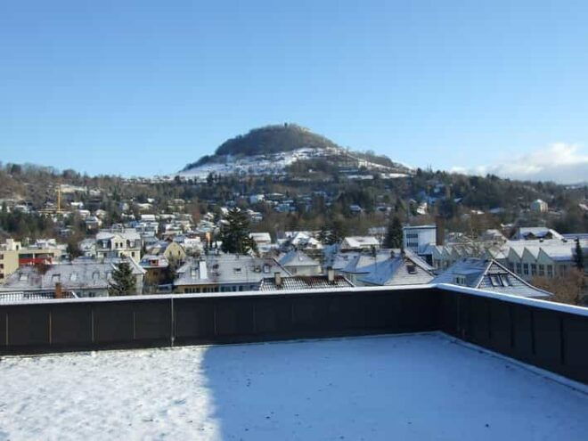 Reutlingen Private Guided Walking Tour - Meeting Point and Logistics