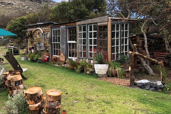 Revel in the Cape Peninsula (Penguins & Cape of Good Hope) - The Sum Up