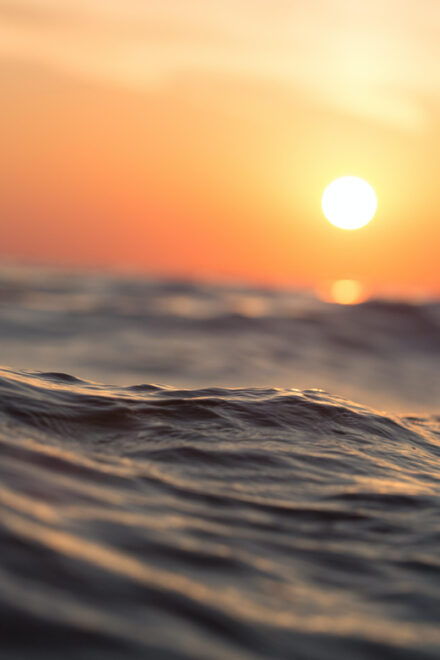 Revellata - Sunset - Booking Information