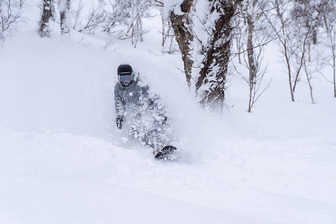 Revelstoke Mountain Photography Tours - Exploring Revelstoke Mountain Photography Tours