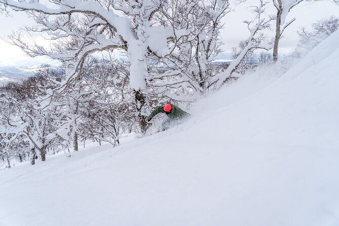 Revelstoke Mountain Photography Tours - Whats Included and Whats Not