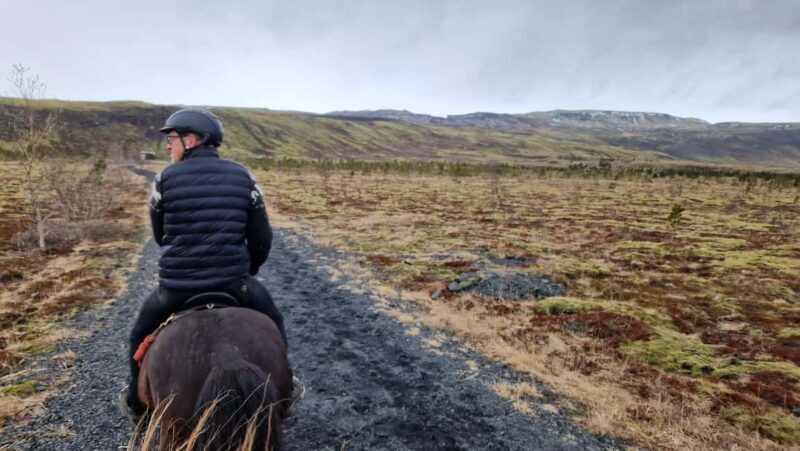 Reykjadalur: Horseback Riding Tour for Families & Beginners - Good To Know