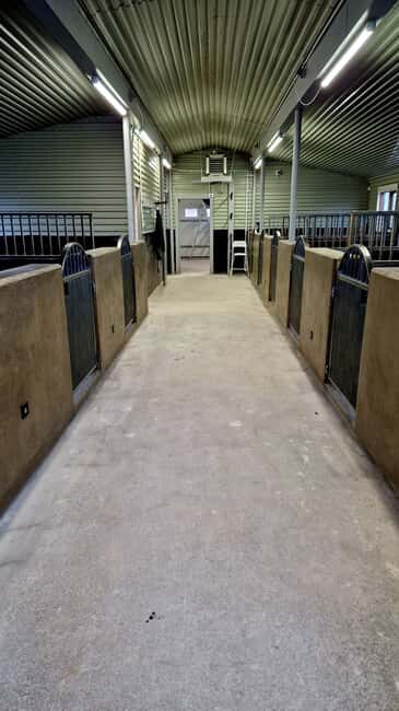 Reykjadalur: Horseback Riding Tour for Families & Beginners - FAQ