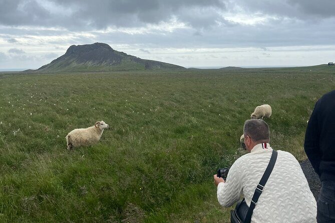 Reykjanes Peninsula Private Tour - Good To Know