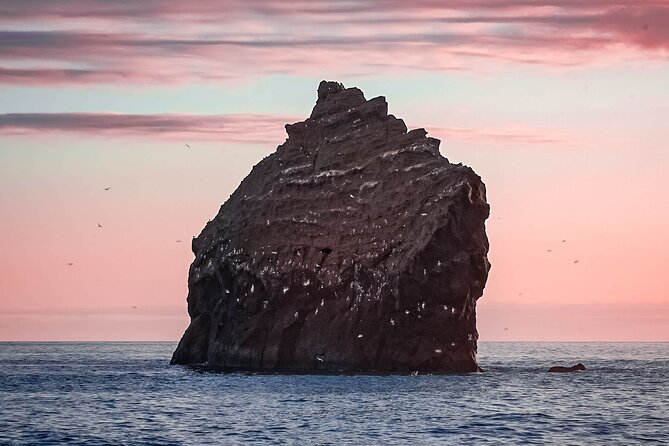 Reykjanes Peninsula Private Tour Iceland - Practical Information and Tips