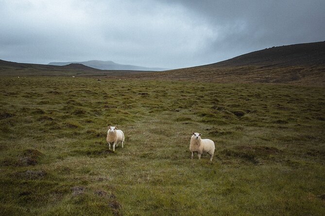 Reykjanes Peninsula Private Tour Photos Included - Booking Information