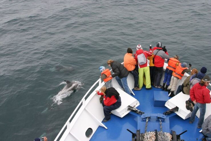 Reykjavik: 3-Hour Whale Watching Tour - Booking Details