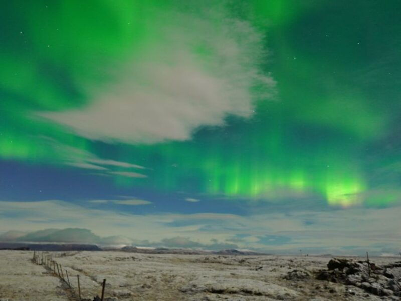 Reykjavik: Aurora Minibus w/ Pro Photos & Free Retry - Authentic Reviews and Insights