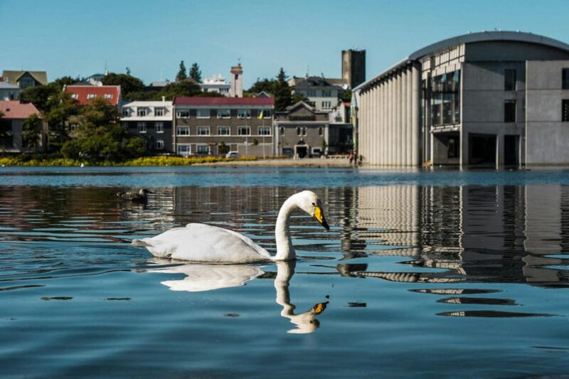 Reykjavík & Blue Lagoon Private Tour - What Makes This Tour Stand Out