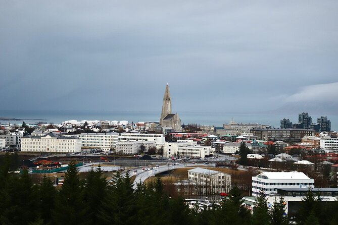 Reykjavik City Private Tour - Meeting and Pickup