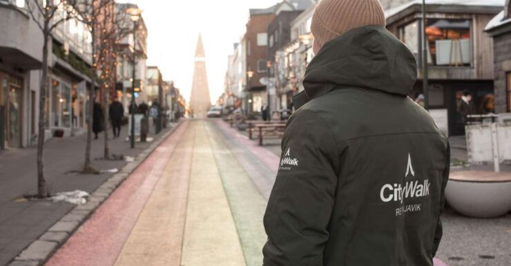 Reykjavik: City Walking Tour in Small Group With Local Guide - Booking Information