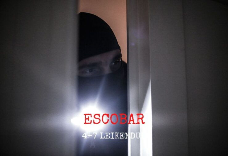 Reykjavik: Escobar Private Themed Escape Room Experience - Booking Details for the Escape Room Experience