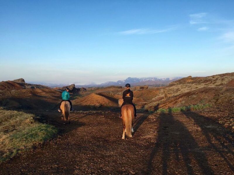 Reykjavik: Evening Sleipnir Horse Riding Tour with Pickup - The Experience: What You Can Expect from Start to Finish