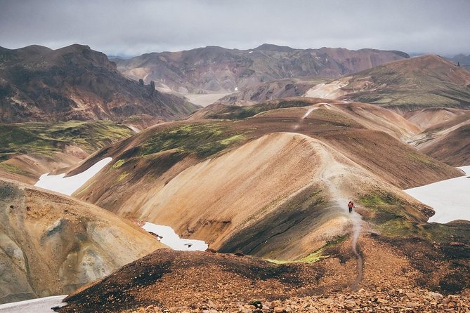Reykjavik: Full-Day Landmannalaugar Hiking Trip - Hiking Trails and Hot Springs