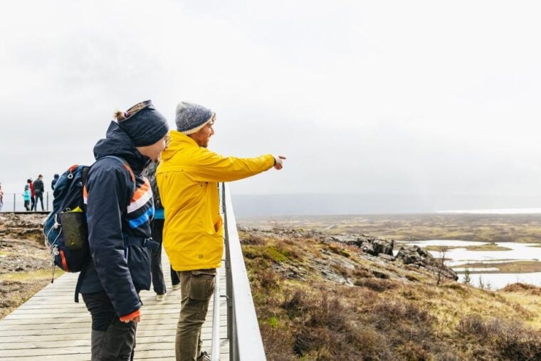 Reykjavik: Golden Circle, Crater & Blue Lagoon Minibus Tour - Who Should Take This Tour?