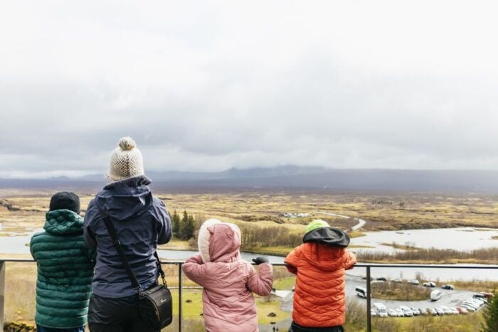 Reykjavik: Golden Circle, Crater & Blue Lagoon Minibus Tour - Final Thoughts