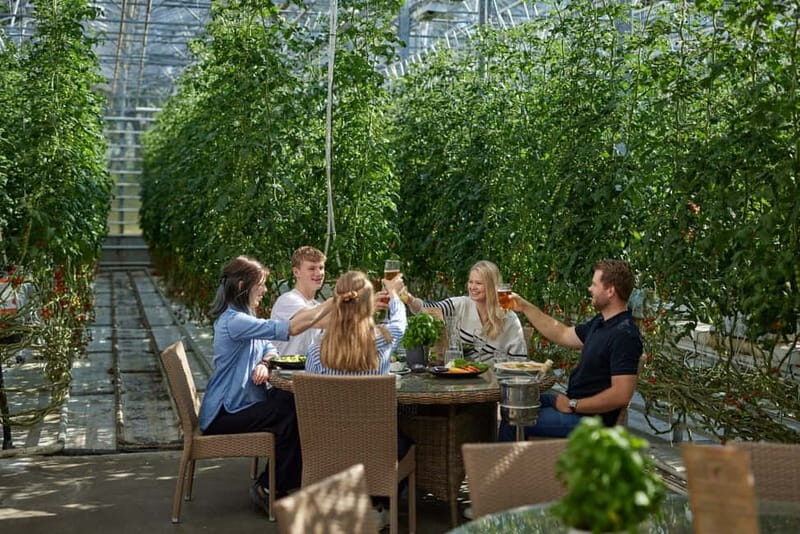 Reykjavík: Golden Circle & Food Tasting with Secret Lagoon - Practical Considerations and Tips