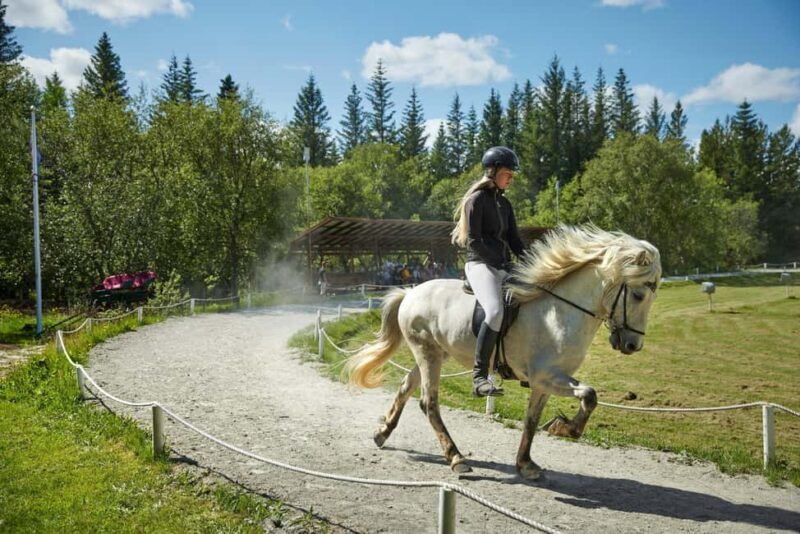 Reykjavík: Golden Circle, Friðheimar, & Laugarás Lagoon Tour - Exploring the Highlights of the Tour