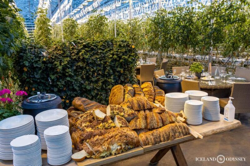 Reykjavik: Golden Circle & Northern Lights Tour - Pricing and Value