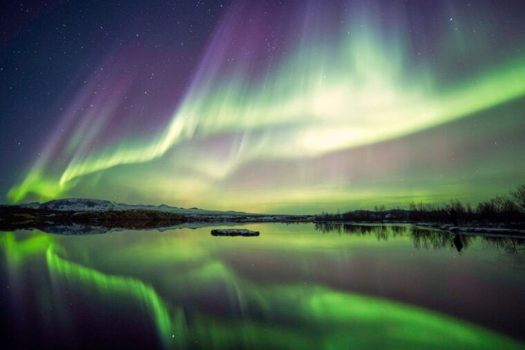 Reykjavík: Group Northern Lights Tour with Pics & Hot Cocoa - Price and Value