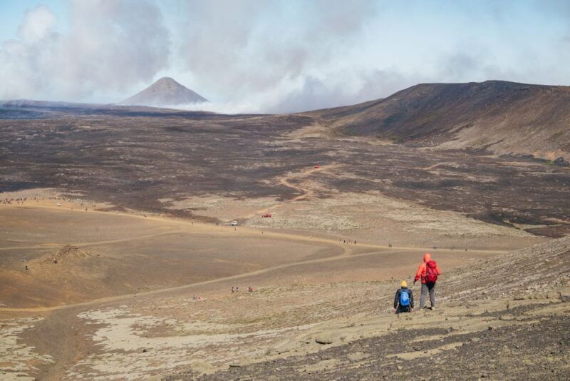 Reykjavik: Guided Tour to Volcano and Reykjanes Geopark - Who Will Love This Tour?