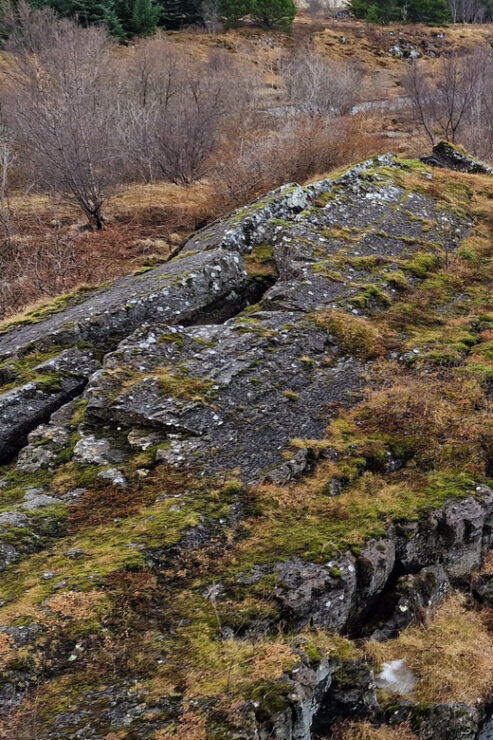 Reykjavik Hidden Gems - Private - Half Day Tour - With Local - Itinerary Highlights