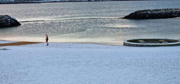 Reykjavik Hidden Gems - Private - Half Day Tour - With Local - Group Size and Exclusivity