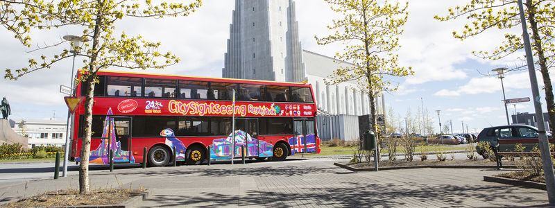 Reykjavik Hop-On Hop-Off City Sightseeing Bus Tour - Key points to know before you ride