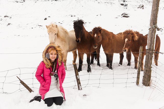 Reykjavik Instagram Photoshoot By Local Professionals - Pricing and Availability