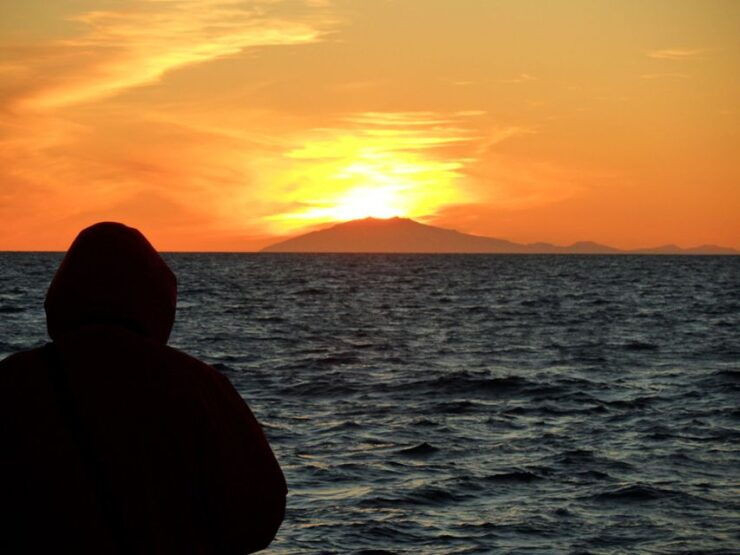 Reykjavik: Midnight Sun Whale Watching Tour - Experience Highlights