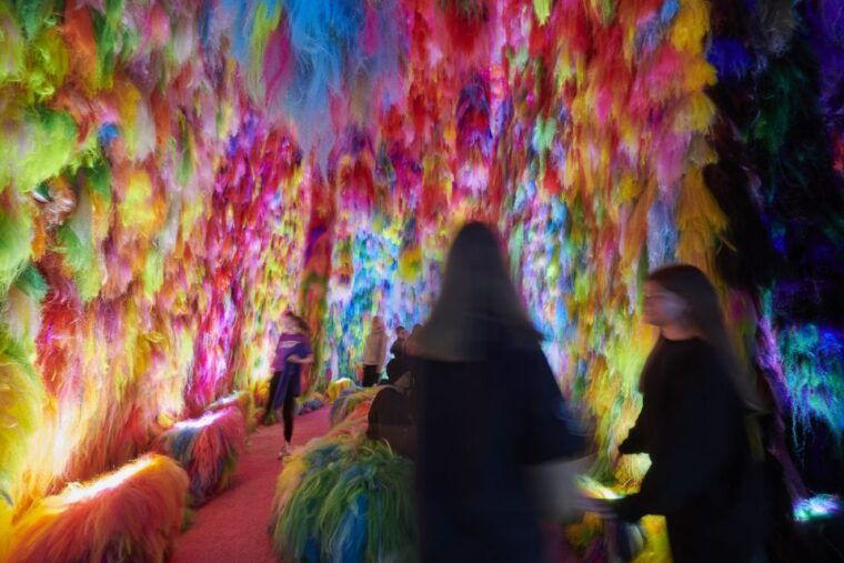Reykjavík: Multi-Sensory Art Installation Chromo Sapiens - Accessibility and Practical Tips  