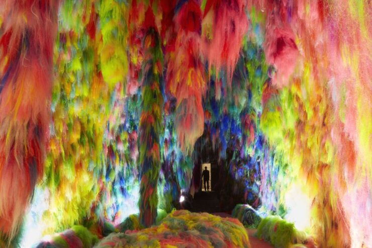 Reykjavík: Multi-Sensory Art Installation Chromo Sapiens - Experience Highlights