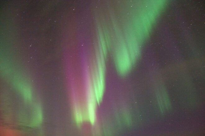 Reykjavík: New Years Eve Northern Lights Yacht Cruise - Customer Feedback