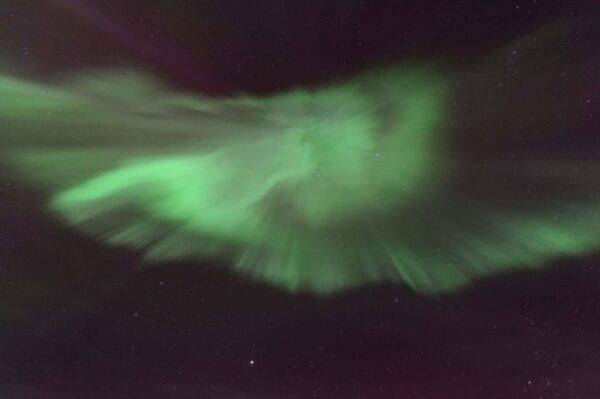 Reykjavík: New Years Eve Northern Lights Yacht Cruise - Celebrating New Years Eve