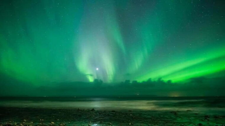 Reykjavik: Northern Lights Adventure Tour with Hot Chocolate - Transportation & Timing: Why It Matters