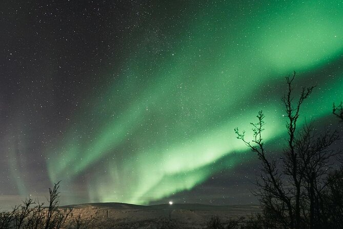 Reykjavik Northern Lights And Roundtrip Tour - Tour Details