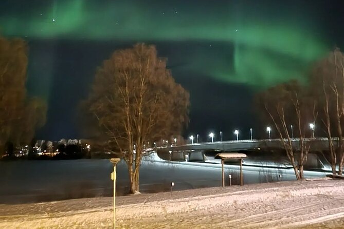 Reykjavik Northern Lights And Roundtrip Tour - Pricing