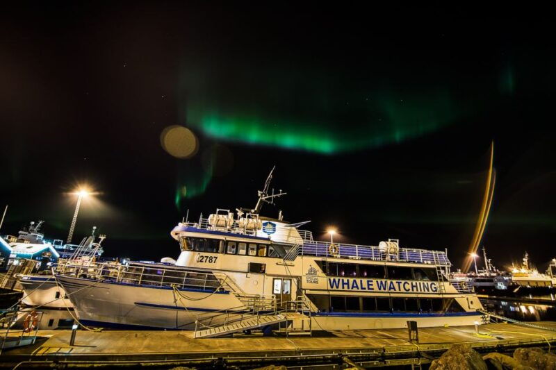 Reykjavik: Northern Lights Guided Boat Tour - Authentic Guest Experiences & Practical Insights