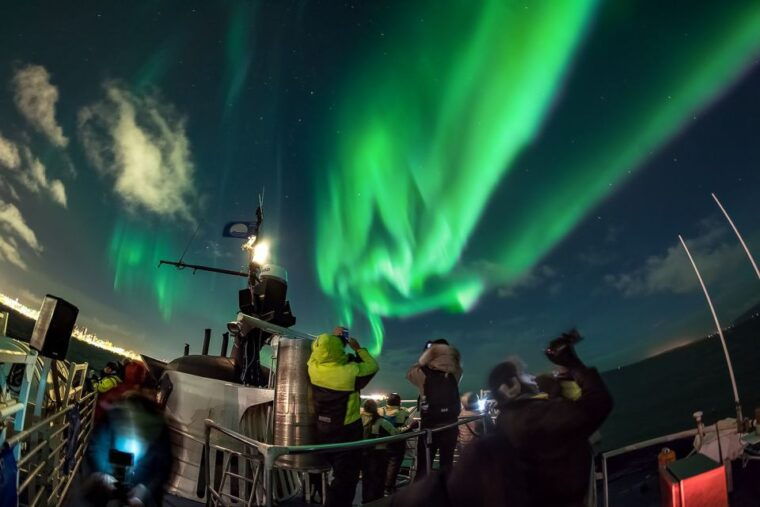 Reykjavik: Northern Lights Guided Boat Tour - Pricing & Value