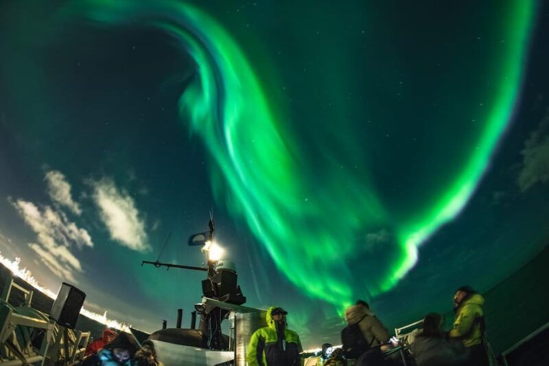 Reykjavik: Northern Lights Guided Boat Tour with Photos - Good To Know  