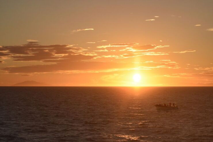 Reykjavik: Premium Whale and Puffin Watching Evening Tour - Tour Overview