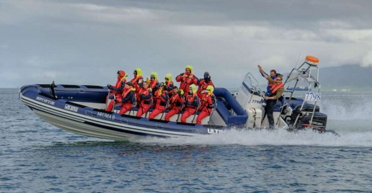 Reykjavik: Premium Whale Watching With Flexible Ticket - Activity Details