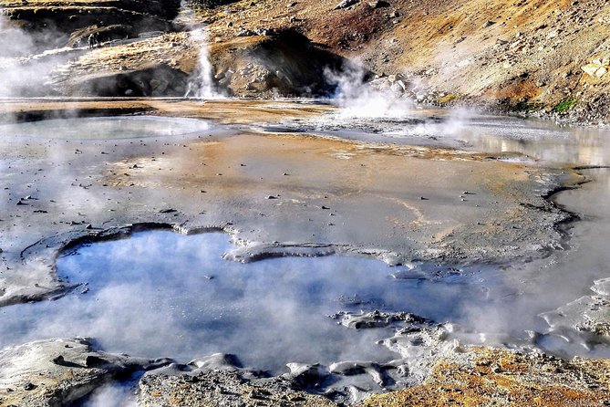 Reykjavik Private Choose Your Own Adventure Tour - Pricing and Details