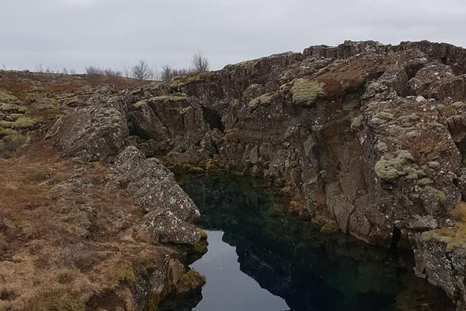 Reykjavik Private Choose Your Own Adventure Tour - Questions and Contact